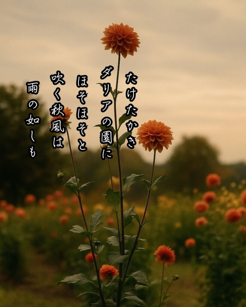 若山牧水の短歌まとめ ― 生涯・作風・名歌・短歌一覧 ―「たけたかき ダリアの園に ほそほそと 吹く秋風は 雨の如しも」若山牧水短歌イメージ画像
