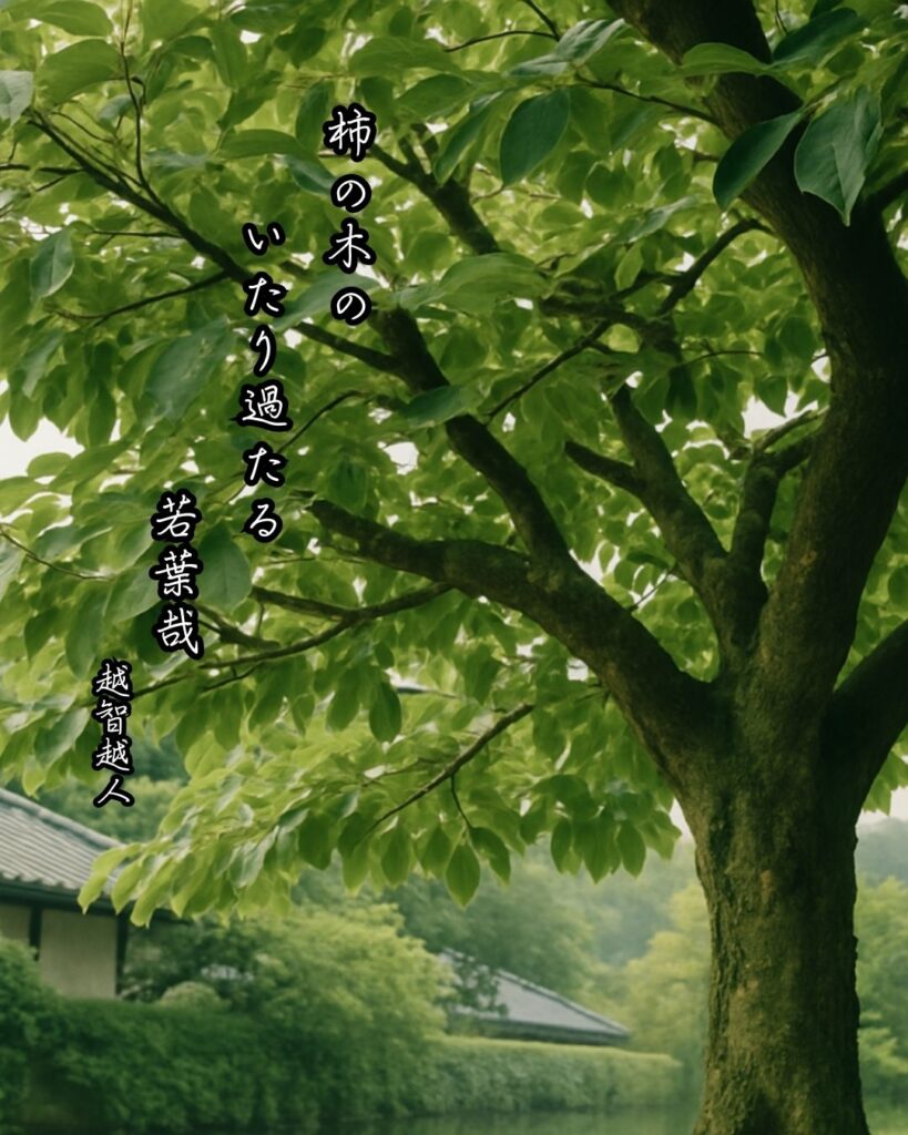 越智越人の俳句まとめ ― 生涯・作風・名句・俳句一覧 ―「柿の木の　いたり過たる　若葉哉」越智越人俳句イメージ画像
