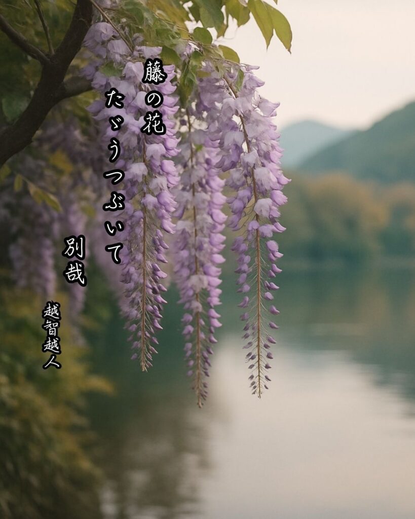 越智越人の俳句まとめ ― 生涯・作風・名句・俳句一覧 ―「藤の花　たゞうつぶいて　別哉」越智越人俳句イメージ画像

