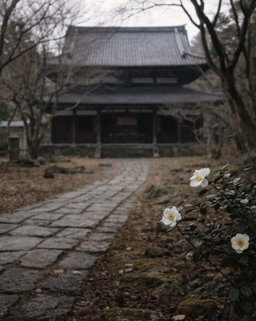 森川許六の冬の俳句5選-代表作をわかりやすく解説！「茶の花の　香や冬枯の　興聖寺」この俳句をイメージした画像