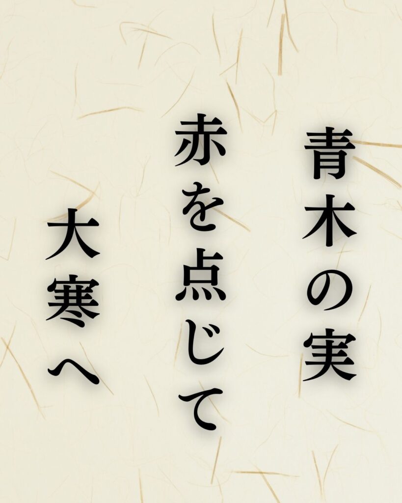山口青邨の冬の俳句5選-代表作をわかりやすく解説！「青木の実　赤を点じて　大寒へ」この俳句を記載した画像