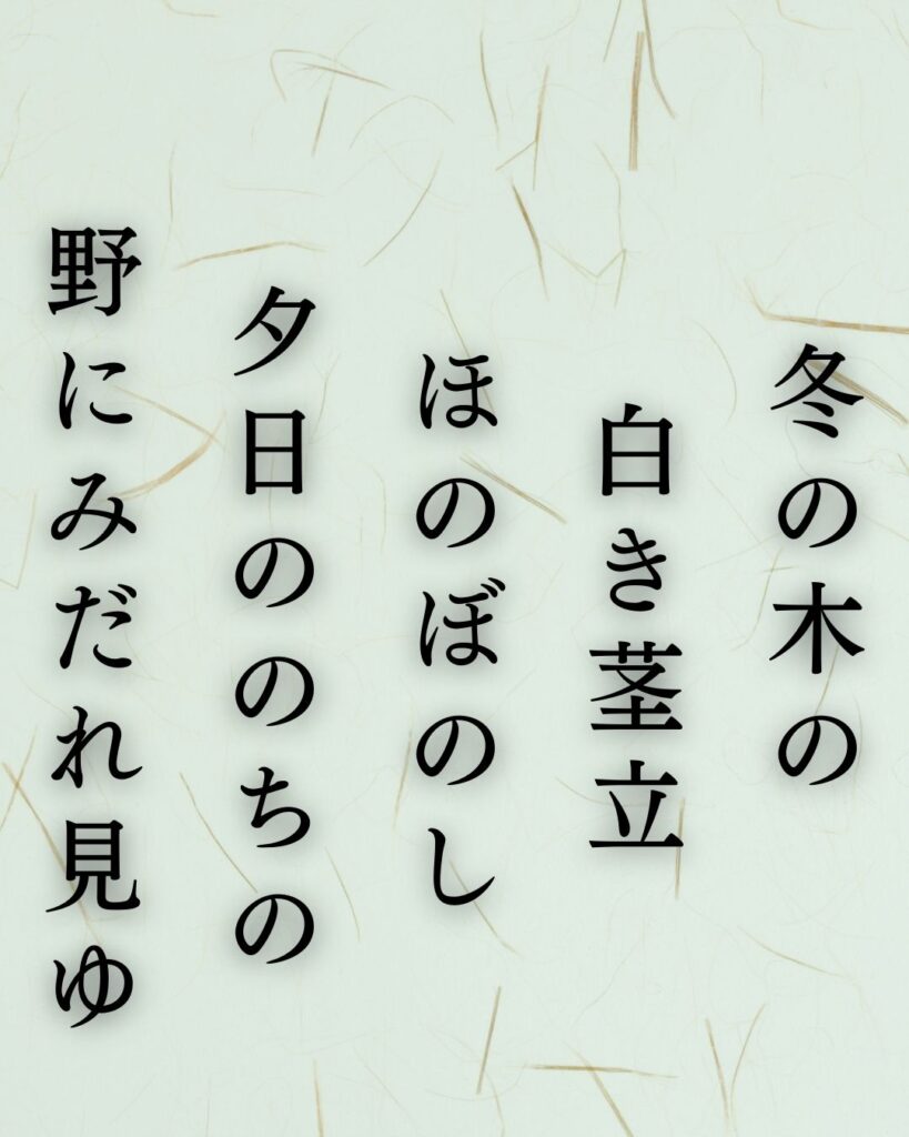 島木赤彦の冬の短歌5選-代表作をわかりやすく解説！「冬の木の　白き茎立　ほのぼのし　夕日ののちの　野にみだれ見ゆ」この短歌をイメージした画像