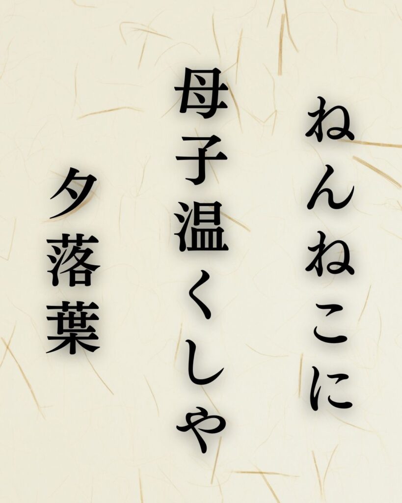 中村汀女の冬の俳句5選-代表作をわかりやすく解説！「ねんねこに　母子温くしや　夕落葉」この俳句を記載した画像