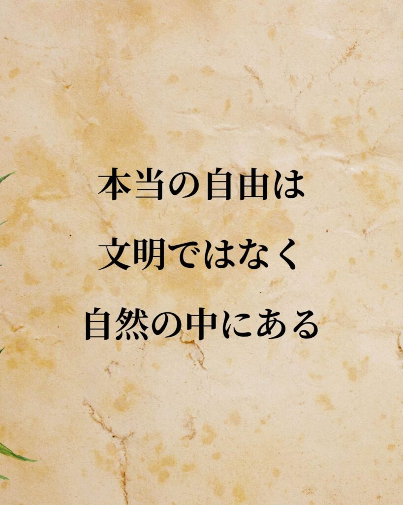 リンドバーグ「本当の自由は、文明ではなく自然の中にある。」この名言のイラスト