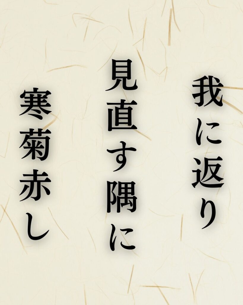 中村汀女の冬の俳句5選-代表作をわかりやすく解説！「我に返り　見直す隅に　寒菊赤し」この俳句を記載した画像