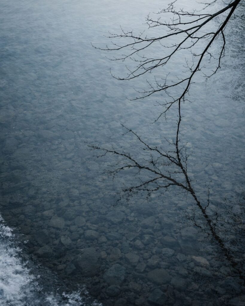 中村草田男の冬の俳句5選-代表作をわかりやすく解説！「冬の水　一枝の影も　欺かず」この俳句をイメージした画像