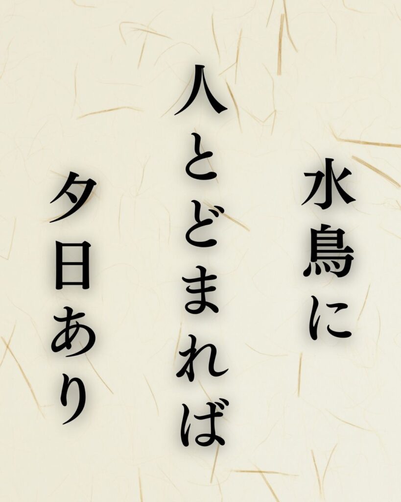 中村汀女の冬の俳句5選-代表作をわかりやすく解説！「水鳥に　人とどまれば　夕日あり」この俳句を記載した画像