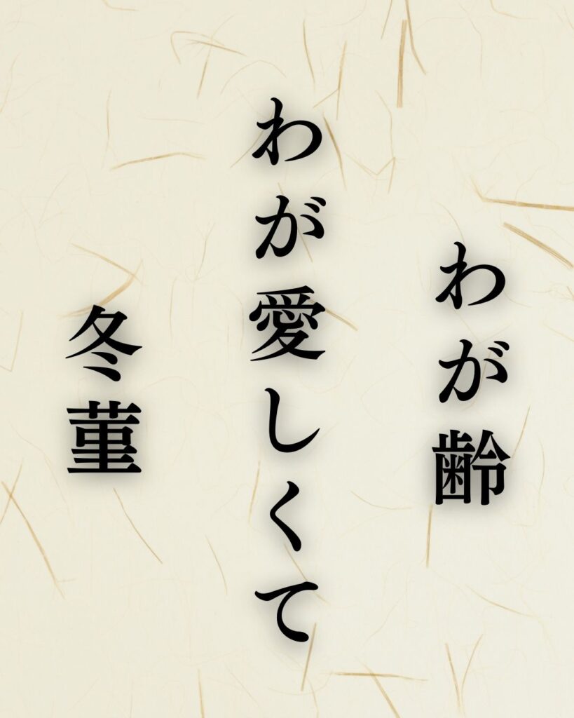 富安風生の冬の俳句5選-代表作をわかりやすく解説！「わが齢　わが愛しくて　冬菫」この俳句を記載した画像