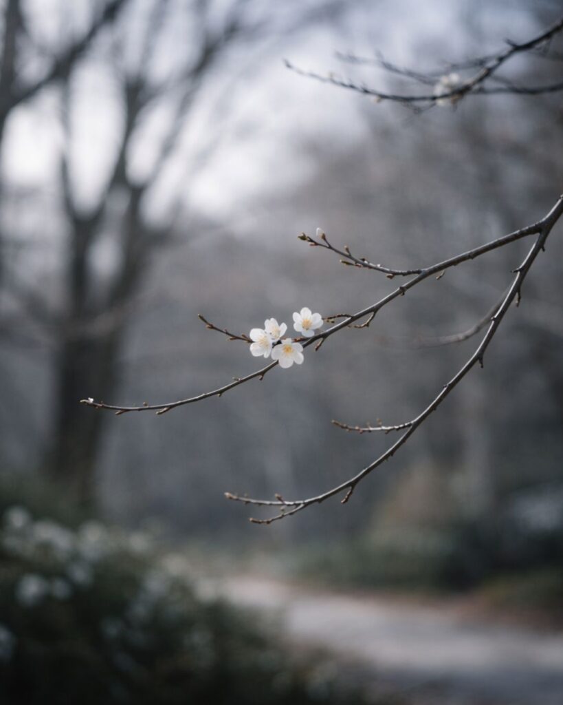 中村草田男の冬の俳句5選-代表作をわかりやすく解説！「ひと枝に　うすく真白く　返り花」この俳句をイメージした画像