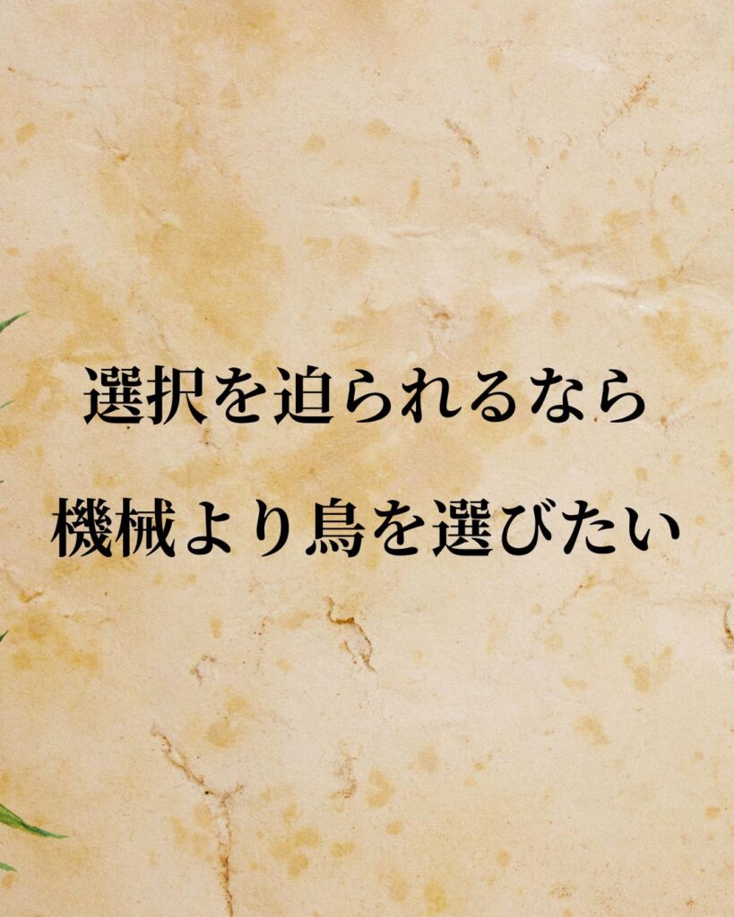 リンドバーグ「選択を迫られるなら、機械より鳥を選びたい。」この名言のイラスト