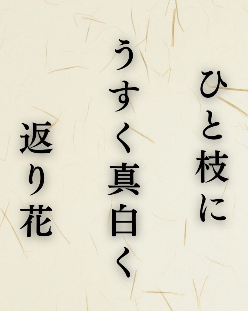中村草田男の冬の俳句5選-代表作をわかりやすく解説！「ひと枝に　うすく真白く　返り花」この俳句を記載した画像