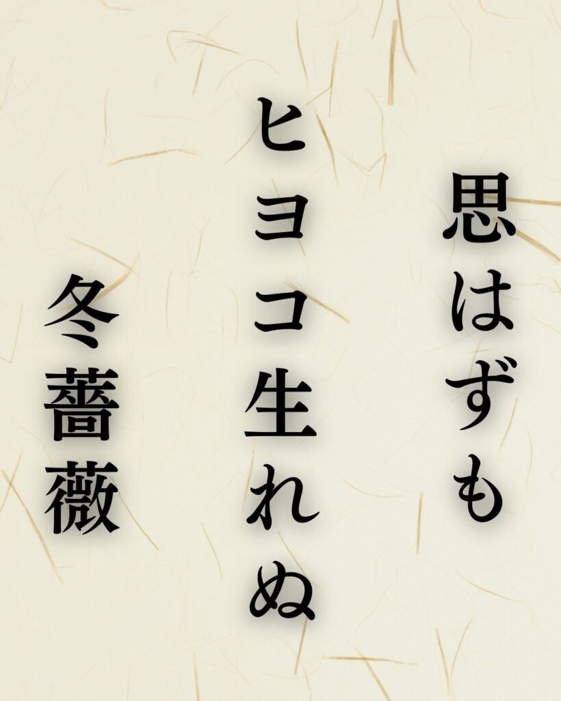 河東碧梧桐の冬の俳句5選-代表作をわかりやすく解説！「思はずも　ヒヨコ生れぬ　冬薔薇」この俳句を記載した画像