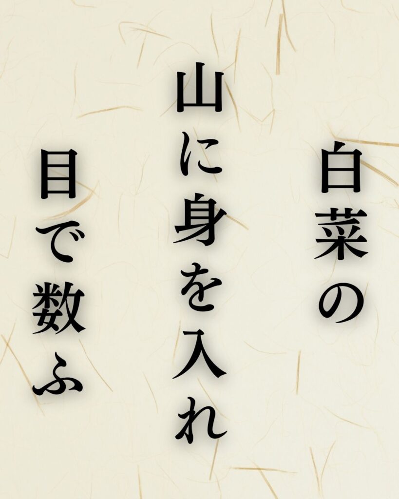 中村汀女の冬の俳句5選-代表作をわかりやすく解説！「白菜の　山に身を入れ　目で数ふ」この俳句を記載した画像