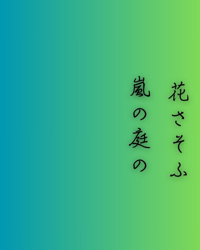 百人一首第96番 西園寺公経『花さそふ』背景解説–花と無常「花さそふ　嵐の庭の　雪ならで　ふりゆくものは　わが身なりけり」の情景をテーマにした和歌の画像
