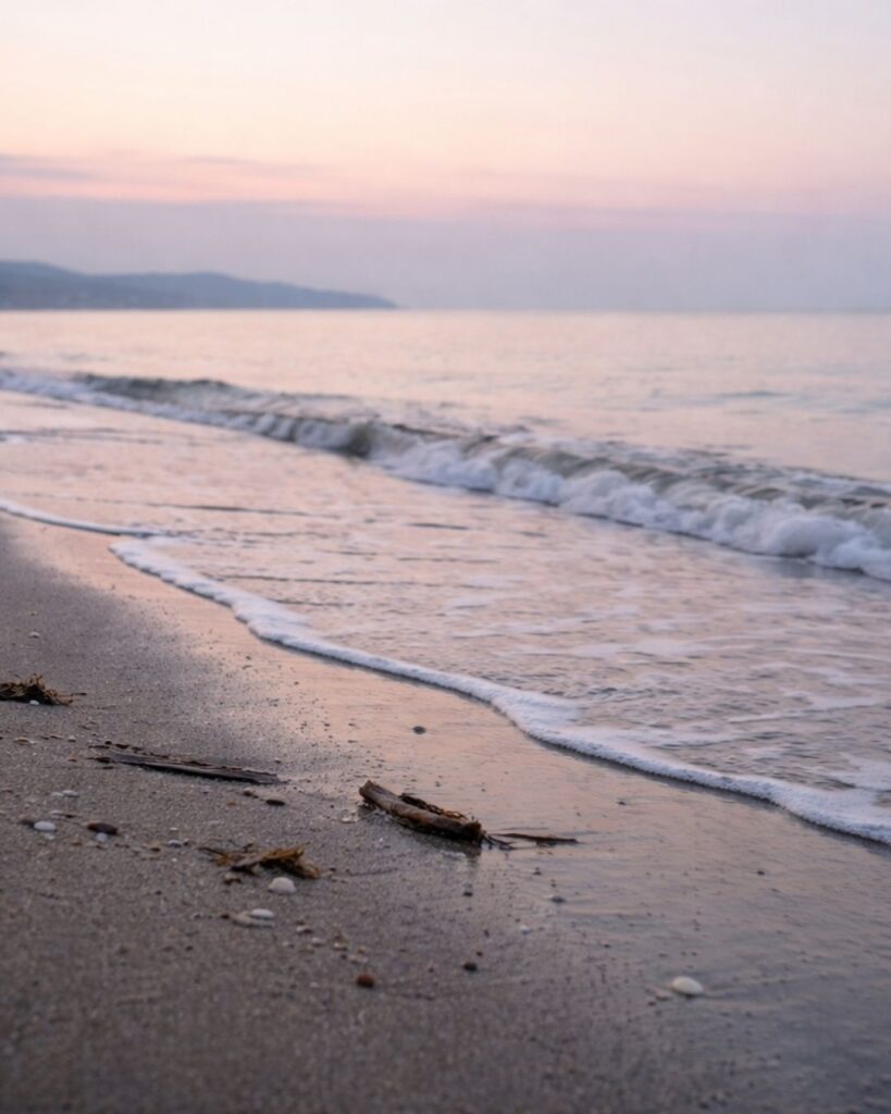 山口誓子の春の俳句5選vol.2-代表作をわかりやすく解説！「春暁の　ひろき渚に　流れ寄る」この俳句をイメージした画像