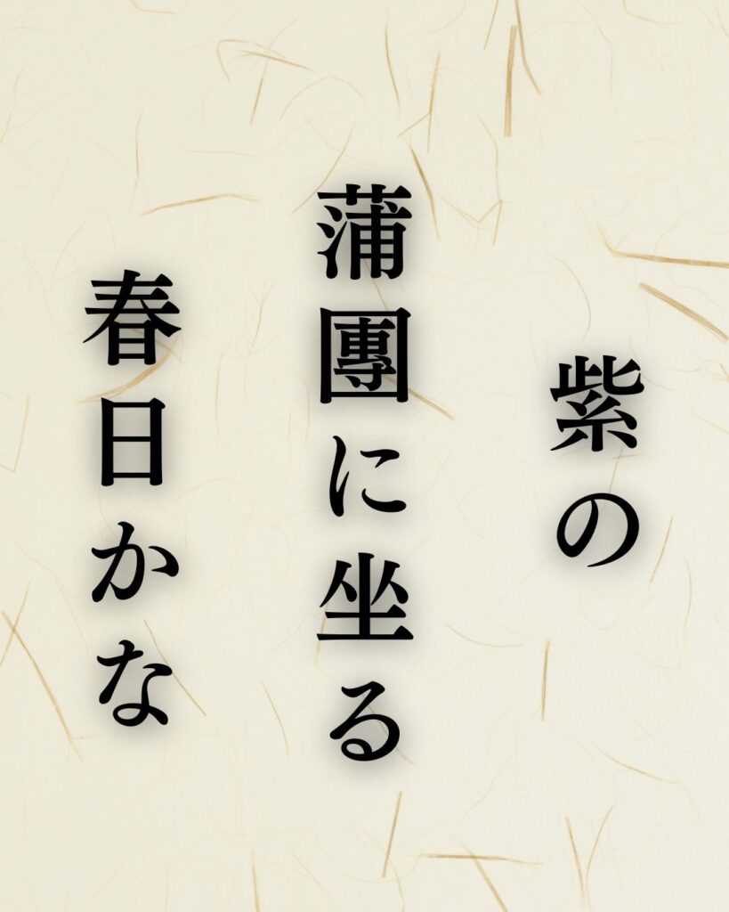 正岡子規の春の俳句5選vol.2-代表作をわかりやすく解説!「紫の 蒲團に坐る 春日かな」この俳句を記載した画像