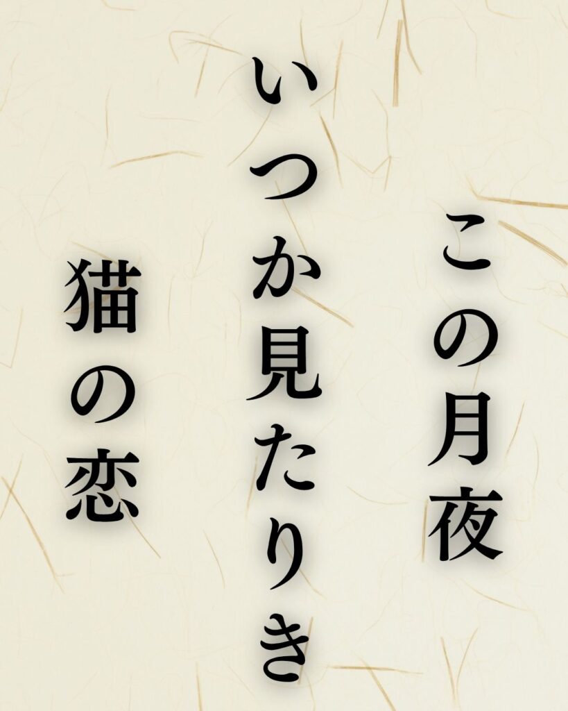山口誓子の春の俳句5選vol.2-代表作をわかりやすく解説！「この月夜　いつか見たりき　猫の恋」この俳句を記載した画像