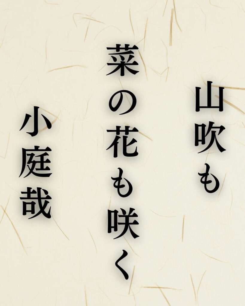 正岡子規の春の俳句5選vol.2-代表作をわかりやすく解説!「山吹も 菜の花も咲く 小庭哉」この俳句を記載した画像