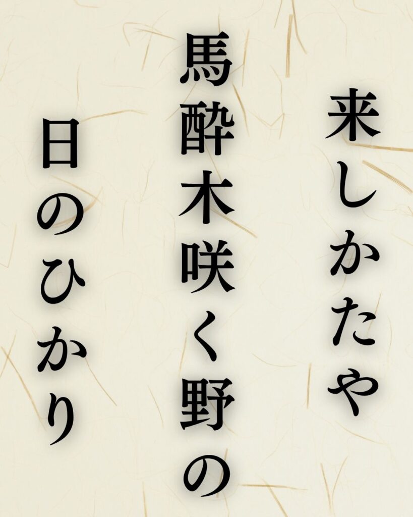 水原秋桜子の春の俳句5選vol.2-代表作をわかりやすく解説!「来しかたや 馬酔木咲く野の 日のひかり」この俳句を記載した画像