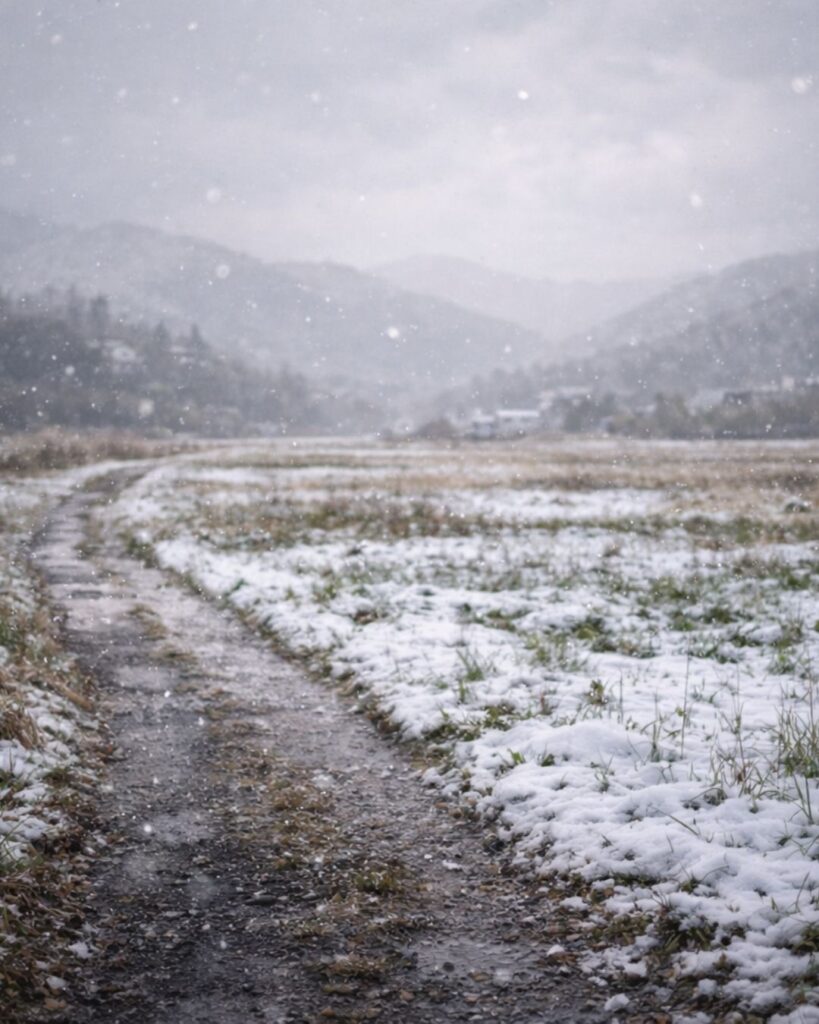石田波郷の春の俳句5選-代表作をわかりやすく解説！「生き得たり　いくたびも降る　春の雪」この俳句をイメージした画像