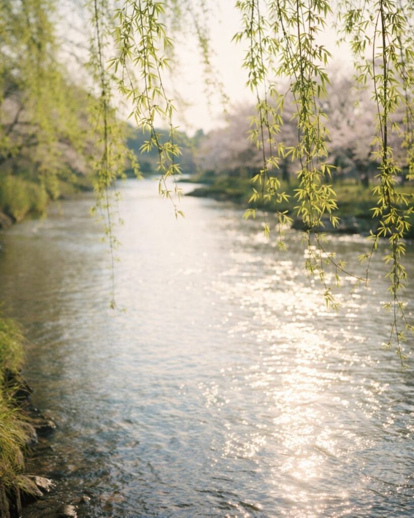 北原白秋の春の短歌5選vol.2–代表作をわかりやすく解説!「君を見て びやうのやなぎ 薫るごとき 胸さわぎをば おぼえそめにき」この短歌をイメージした画像