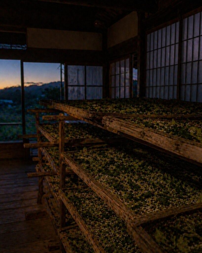 河東碧梧桐の春の俳句5選vol.2-代表作をわかりやすく解説！「夕暮の　ほの暗くなりて　蚕棚」この俳句をイメージした画像