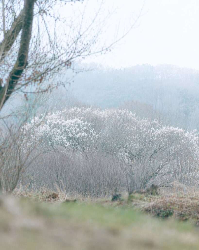 炭太祇の春の俳句5選-代表作をわかりやすく解説！「川下に　網うつ音や　おぼろ月」この俳句をイメージした画像