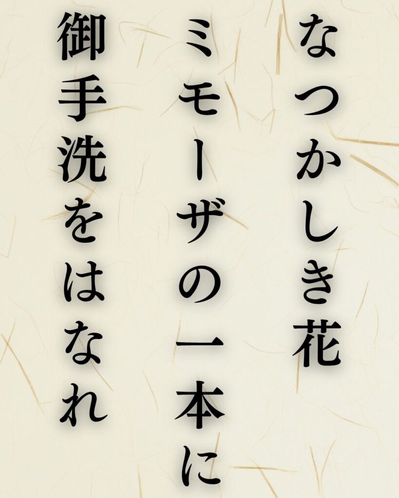 河東碧梧桐の春の俳句5選vol.2-代表作をわかりやすく解説！「なつかしき花ミモーザの一本に御手洗をはなれ」この俳句を記載した画像