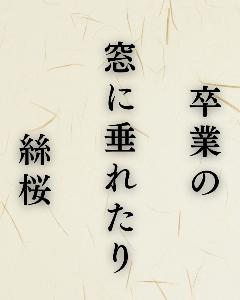 山口青邨の春の俳句5選vol.2-代表作をわかりやすく解説!「卒業の 窓に垂れたり 絲桜」この俳句を記載した画像