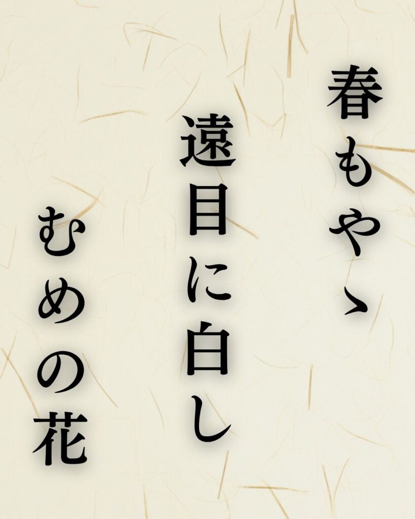 炭太祇の春の俳句5選-代表作をわかりやすく解説！「春もやゝ　遠目に白し　むめの花」この俳句を記載した画像
