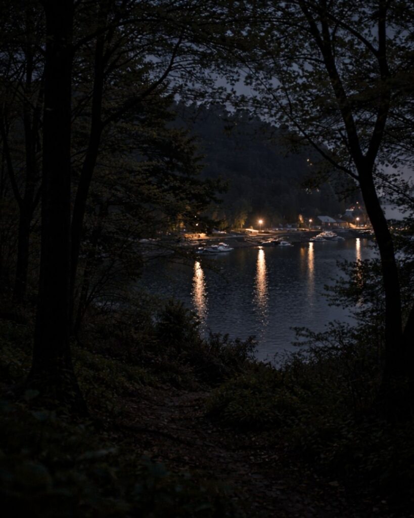 中村汀女の春の俳句5選vol.2-代表作をわかりやすく解説!「春の夜の 港を持てる 木立かな」この俳句をイメージした画像