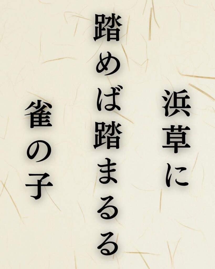 原石鼎の春の俳句5選-代表作をわかりやすく解説!「浜草に 踏めば踏まるる 雀の子」この俳句を記載した画像