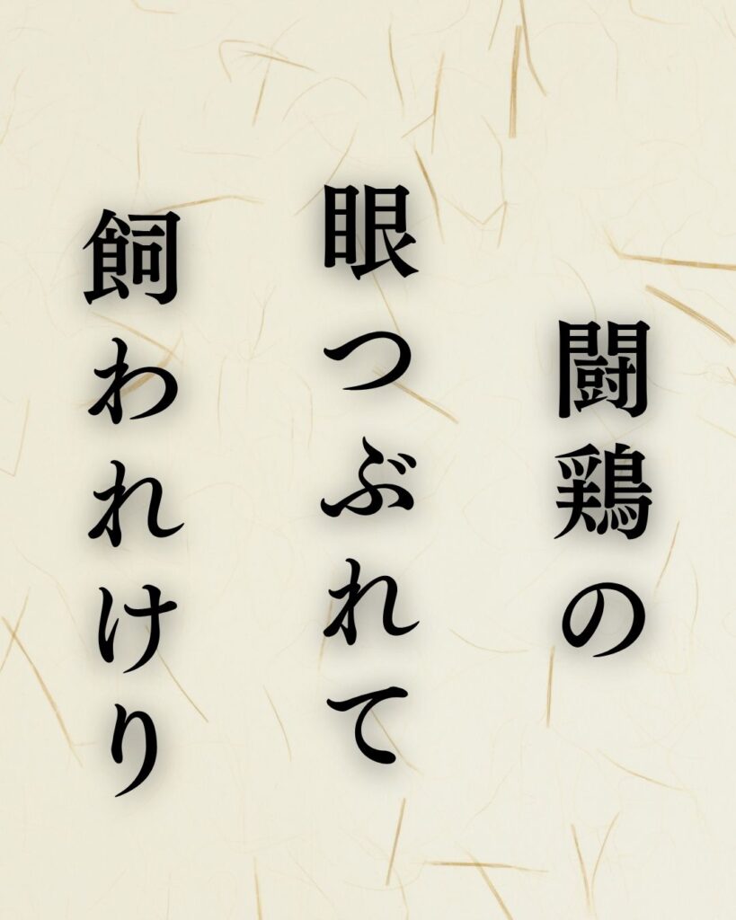 村上鬼城の春の俳句5選-代表作をわかりやすく解説！「闘鶏の　眼つぶれて　飼われけり」この俳句を記載した画像