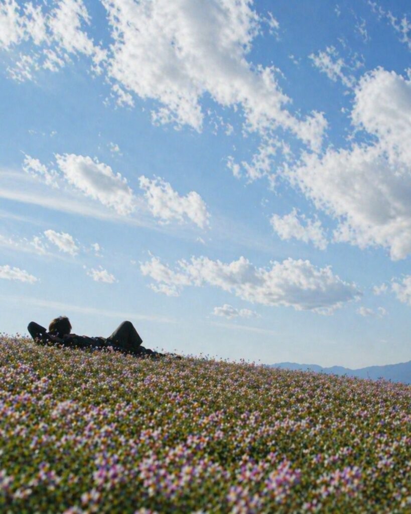 島木赤彦の春の短歌5選-代表作をわかりやすく解説！「げんげ田に 寝ころぶしつつ 行く雲の とほちの人を 思ひたのしむ」この短歌をイメージした画像