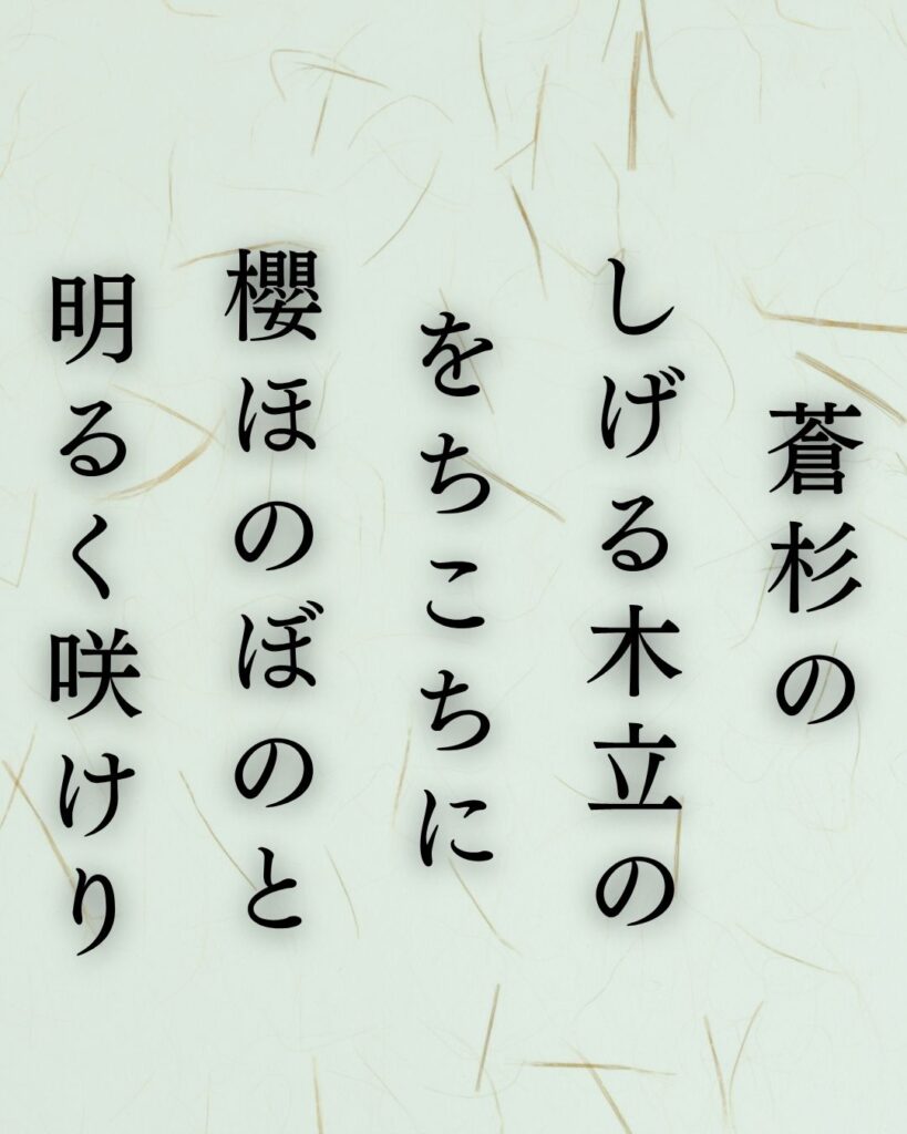 中村憲吉の春の短歌5選-代表作をわかりやすく解説！「蒼杉の しげる木立の をちこちに 櫻ほのぼのと 明るく咲けり」この短歌を記載した画像