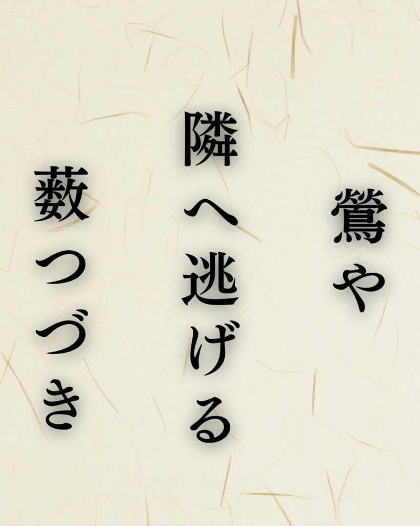 村上鬼城の春の俳句5選-代表作をわかりやすく解説！「鶯や　隣へ逃げる　薮つづき」この俳句を記載した画像
