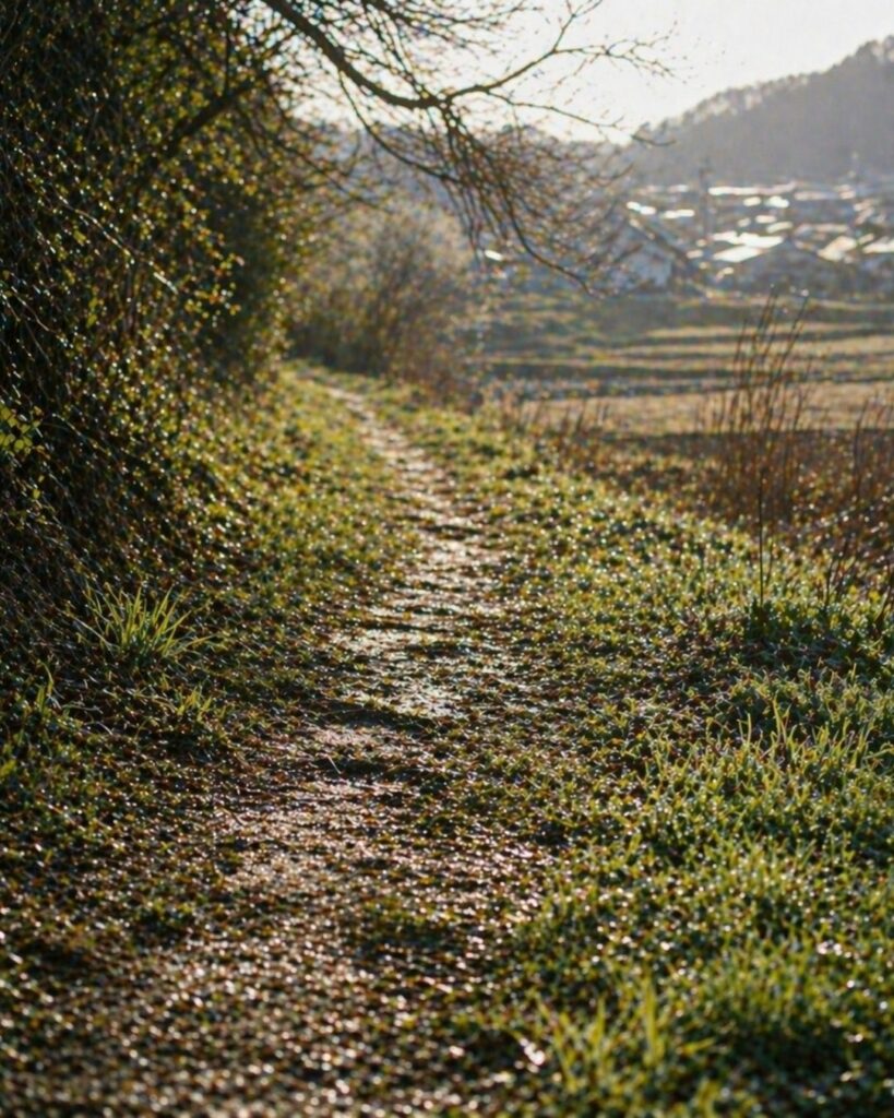 島木赤彦の春の短歌5選-代表作をわかりやすく解説！「野の草の 土のしめりに 春らしき 光を踏みぬ 町にむかひて」この短歌をイメージした画像