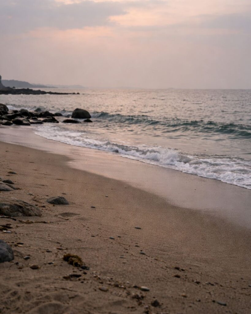 斎藤茂吉の春の短歌5選vol.2–代表作をわかりやすく解説!「悲しみて ひとり来たれる 現身を 春の潮の おとは消たむか」この短歌をイメージした画像