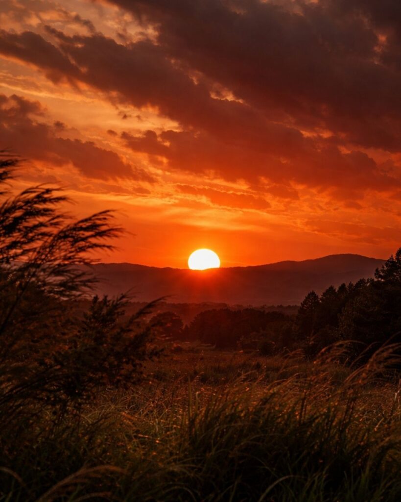 村上鬼城の春の俳句5選-代表作をわかりやすく解説！「あかあかと　大風に沈む　春日かな」この俳句をイメージした画像