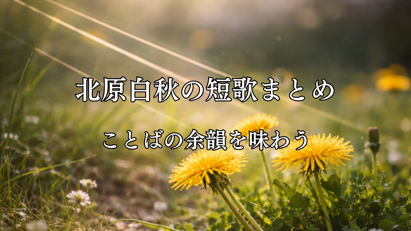 北原白秋の短歌まとめ｜ことばの余韻を味わう「たんぽぽに 　誰がさし置きし 三すぢほど 日に光るなり 　 春の三味線」北原白秋短歌イメージ画像