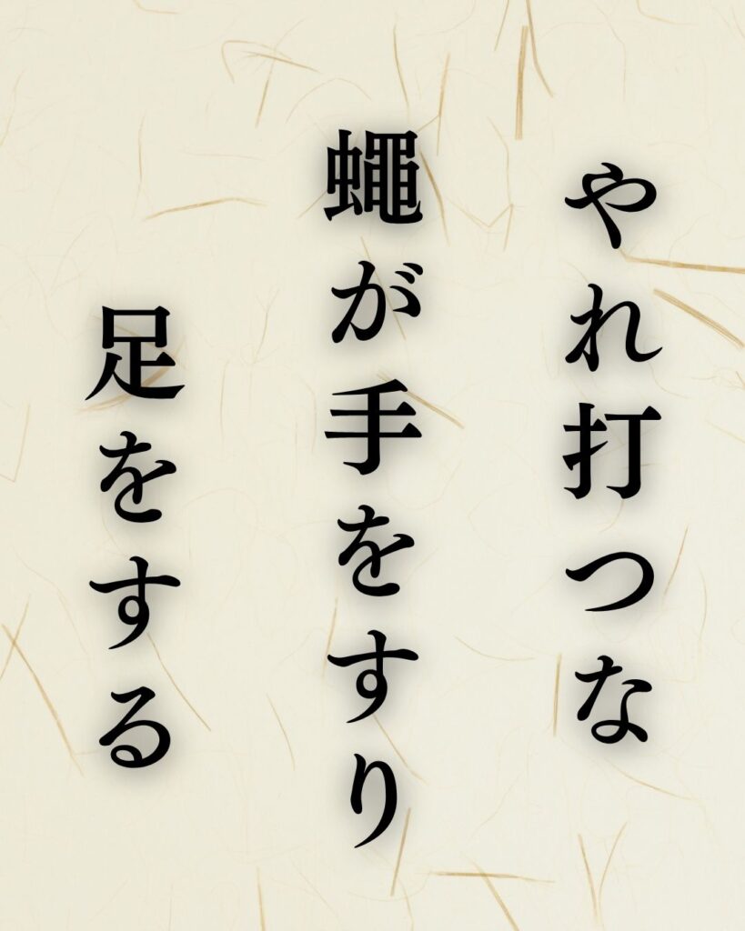小林一茶の夏の俳句5選vol.2-代表作をわかりやすく解説!「やれ打つな 蠅が手をすり 足をする」この俳句を記載した画像