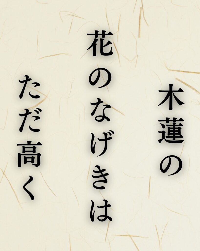 中村草田男の春の俳句5選-代表作をわかりやすく解説！「木蓮の　花のなげきは　ただ高く」この俳句を記載した画像