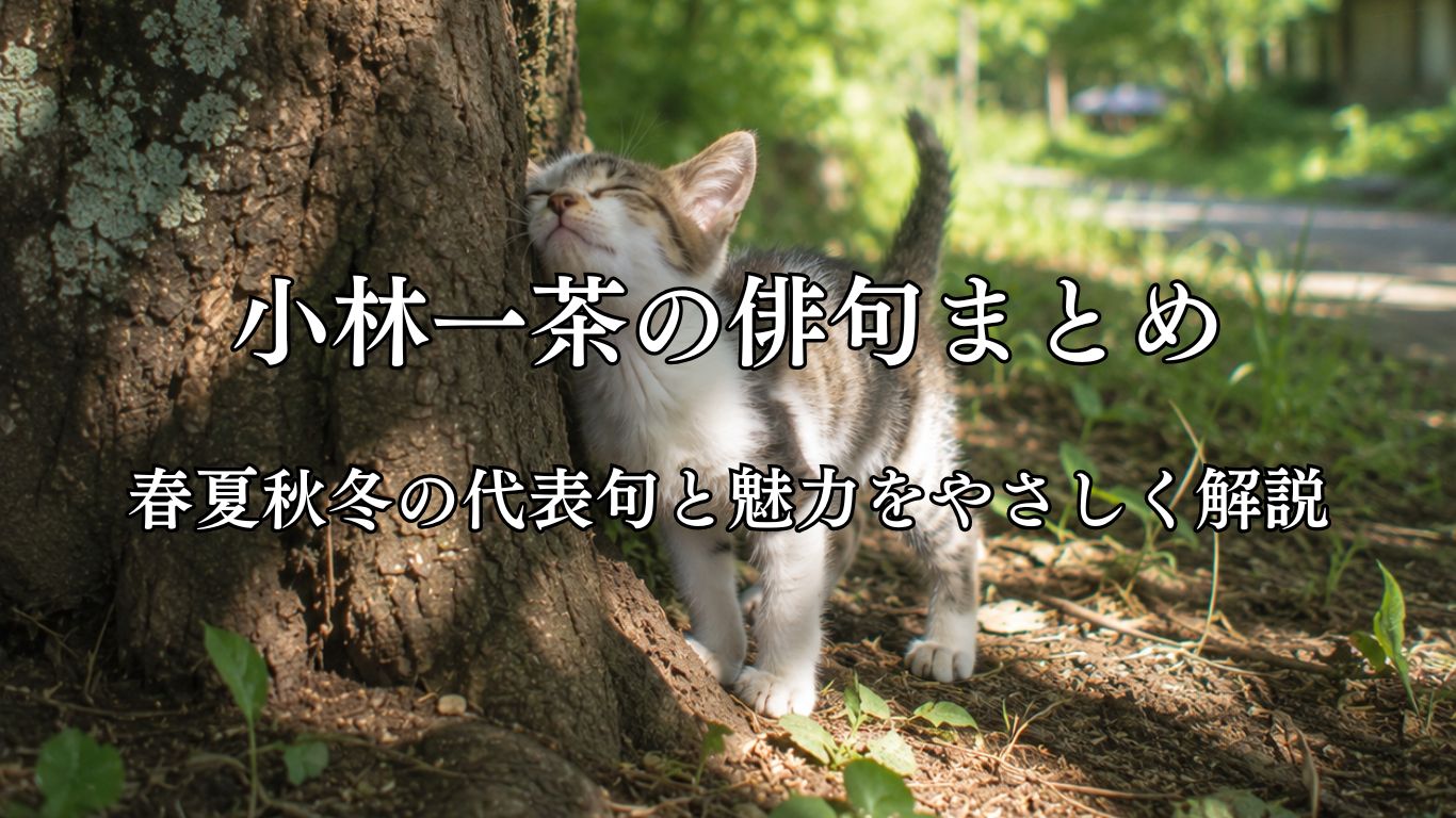 小林一茶の俳句まとめ｜春夏秋冬の代表句と魅力をやさしく解説「猫の子が　蚤すりつける　榎かな」小林一茶作俳句イメージ画像