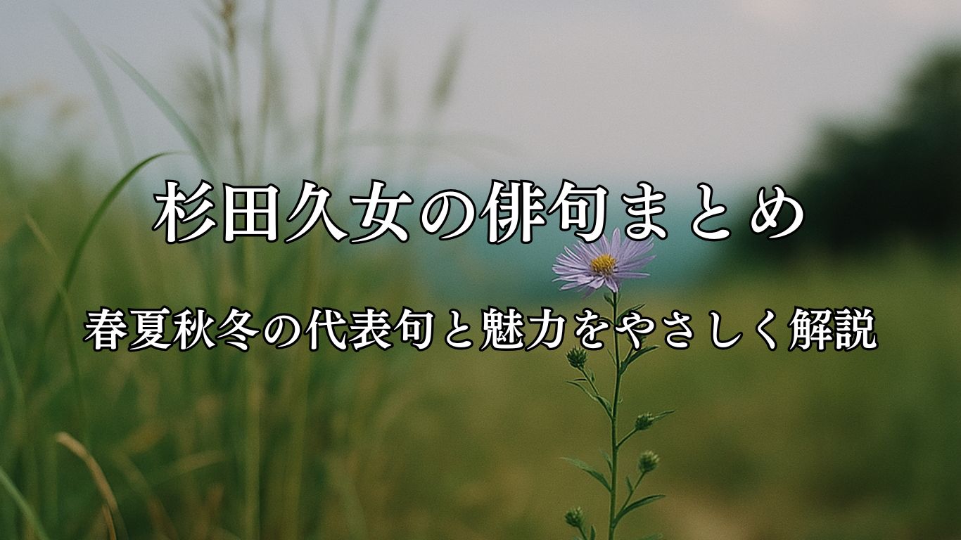 杉田久女の俳句まとめ｜春夏秋冬の代表句と魅力をやさしく解説「新涼や　紫苑をしのぐ　草の丈」杉田久女作俳句イメージ画像