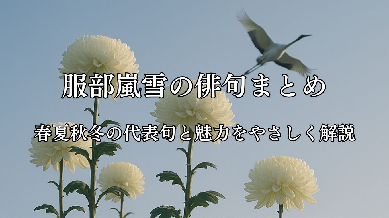 服部嵐雪の俳句まとめ｜春夏秋冬の代表句と魅力をやさしく解説「鶴の声　菊七尺の　ながめかな」服部嵐雪作俳句イメージ画像