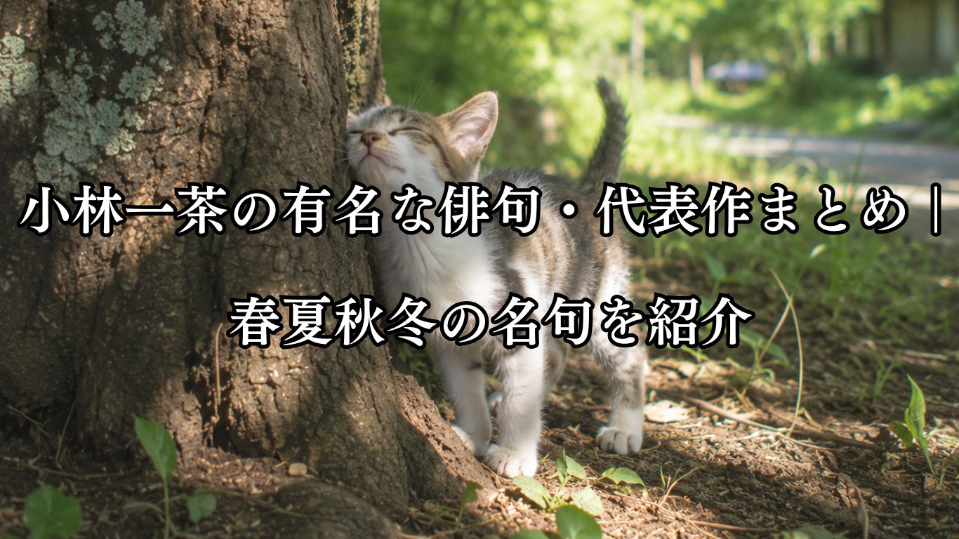 小林一茶の有名な俳句・代表作まとめ｜春夏秋冬の名句を紹介「猫の子が　蚤すりつける　榎かな」小林一茶作俳句イメージ画像